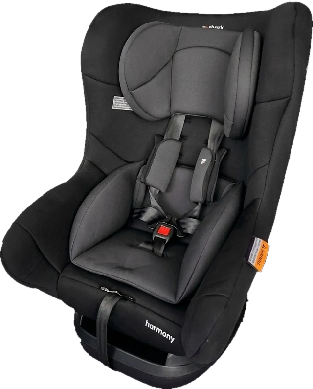 Child safety seat available in the car for younger passengers